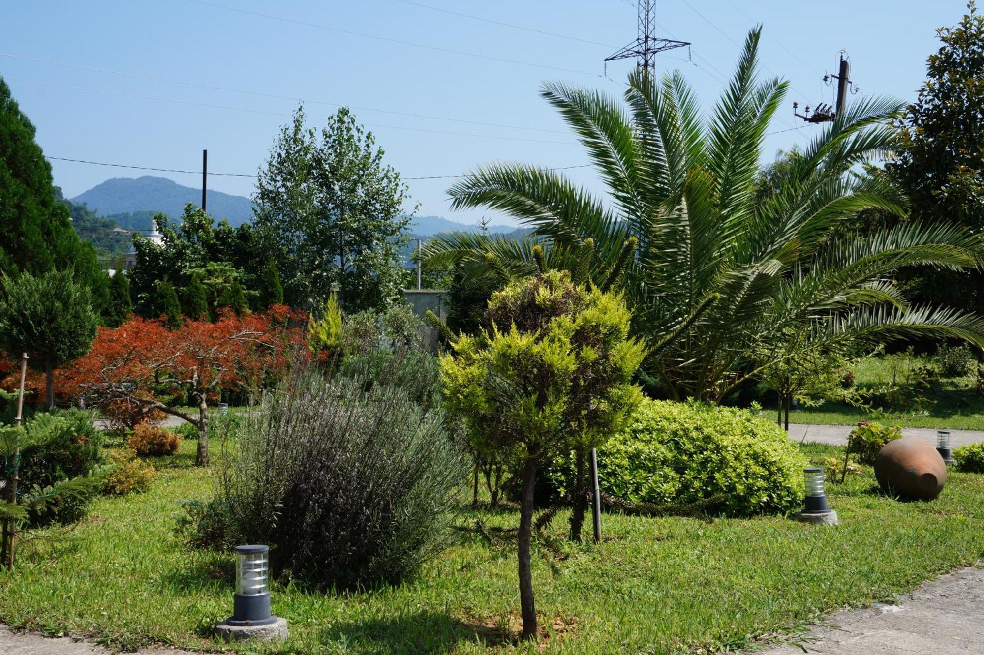 Villa Qero Батуми Екстериор снимка