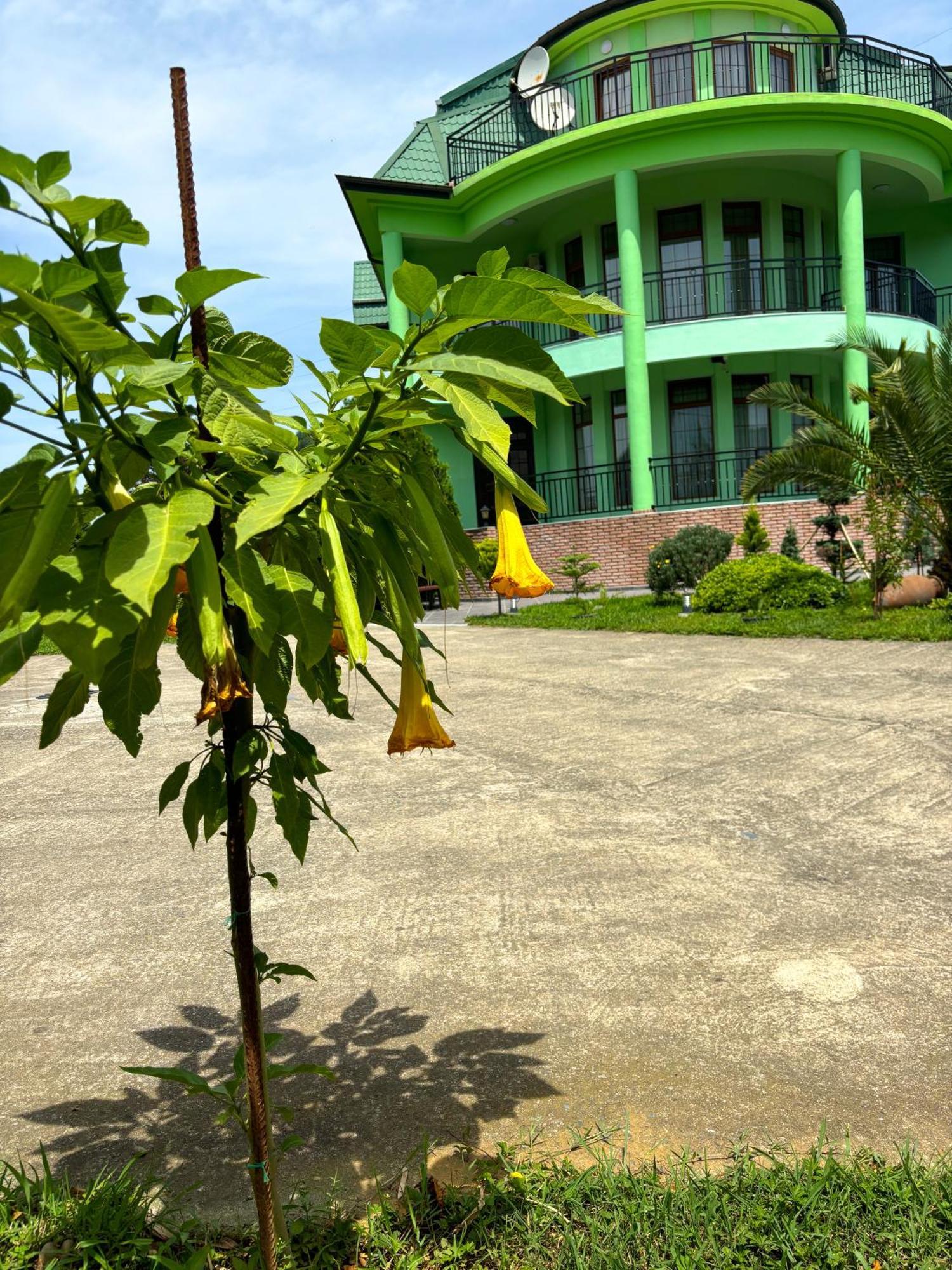Villa Qero Батуми Екстериор снимка